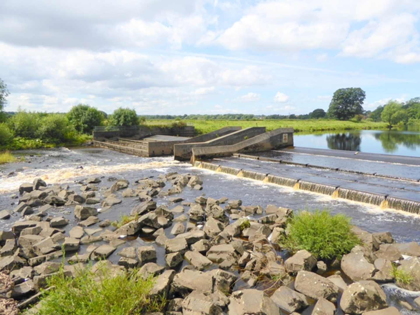 An image depicting the trail River Tees and Low Coniscliffe and Merrybent Country Park Loop and its surrounding area.