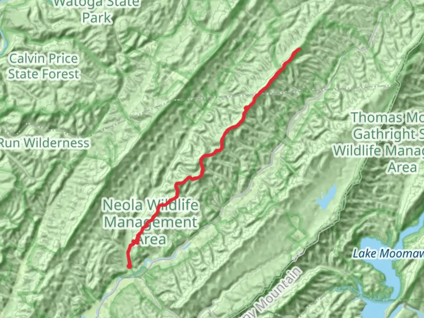 An image depicting the trail Middle Mountain Trail and its surrounding area.