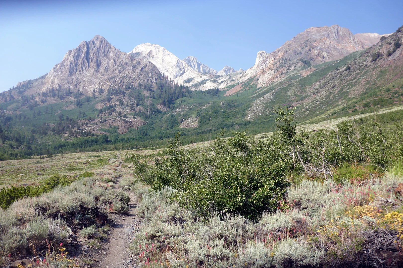 An image depicting the trail Red Slate Mountain, Little McGee Lake and McGee Pass Trail and its surrounding area.