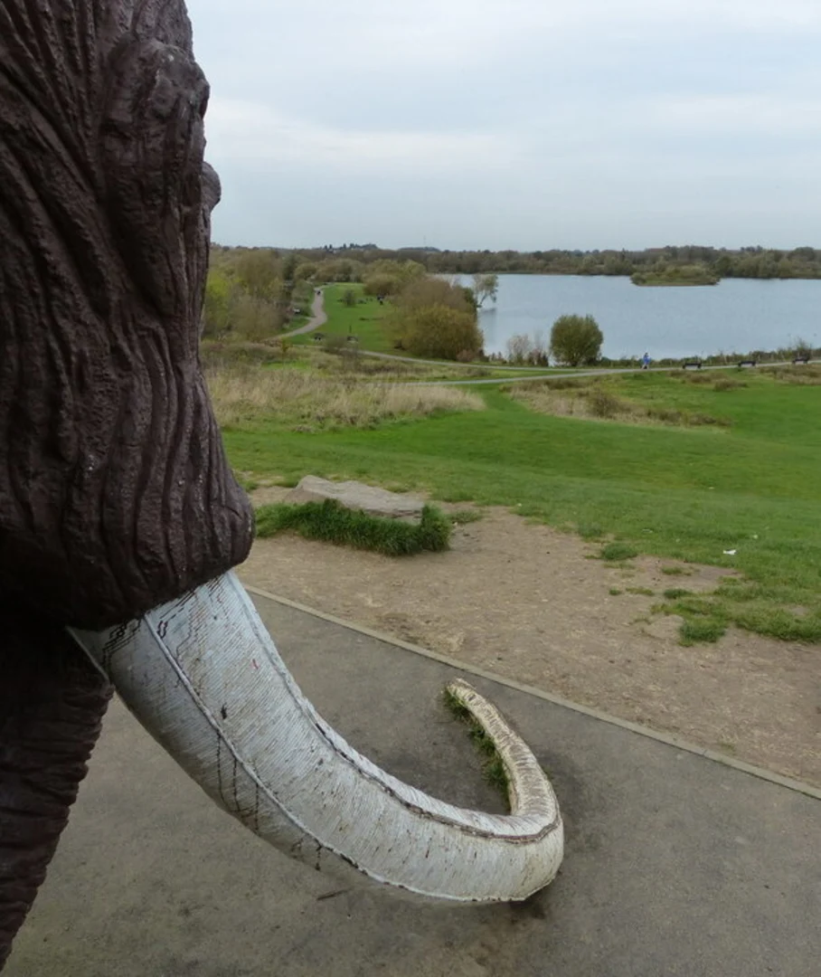 An image depicting the trail River Soar Walk and its surrounding area.