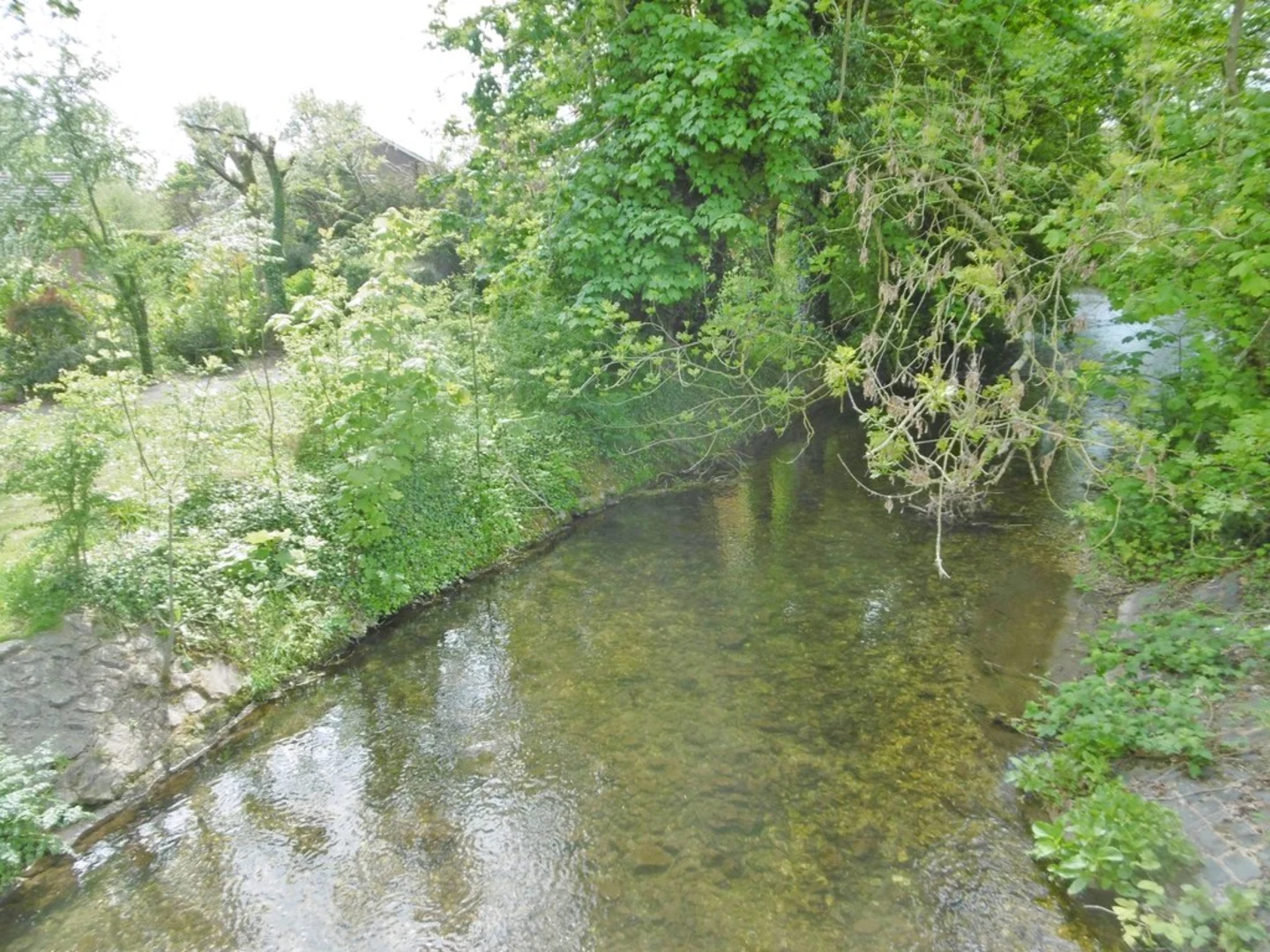 An image depicting the trail Laverstock Circular Walk and its surrounding area.