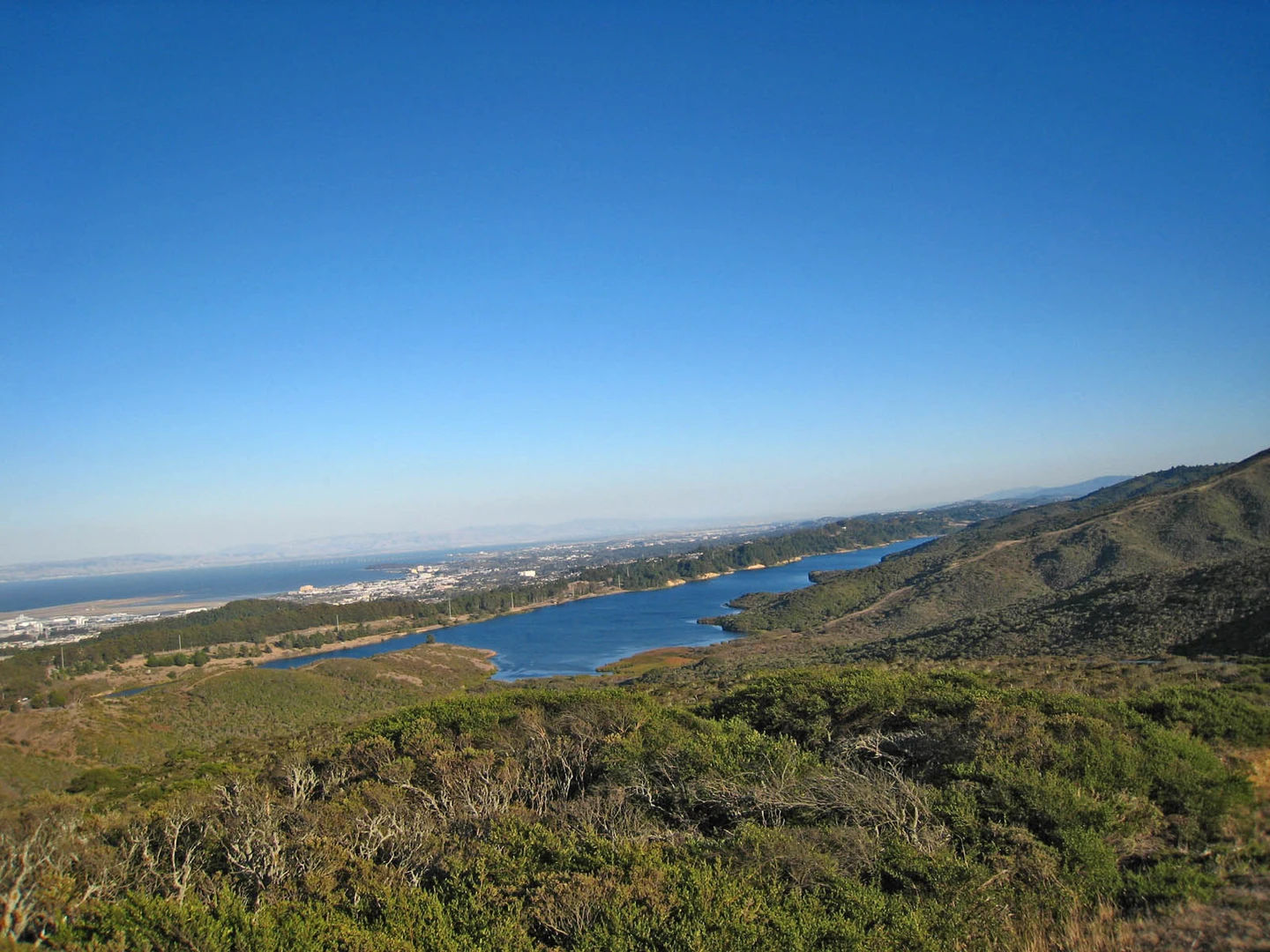 An image depicting the trail Sweeney Ridge Trail via Sneath Lane Trail and its surrounding area.