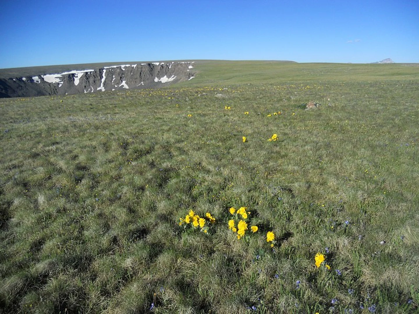 An image depicting the trail North Calf Creek via Powderhorn Park Trail and its surrounding area.