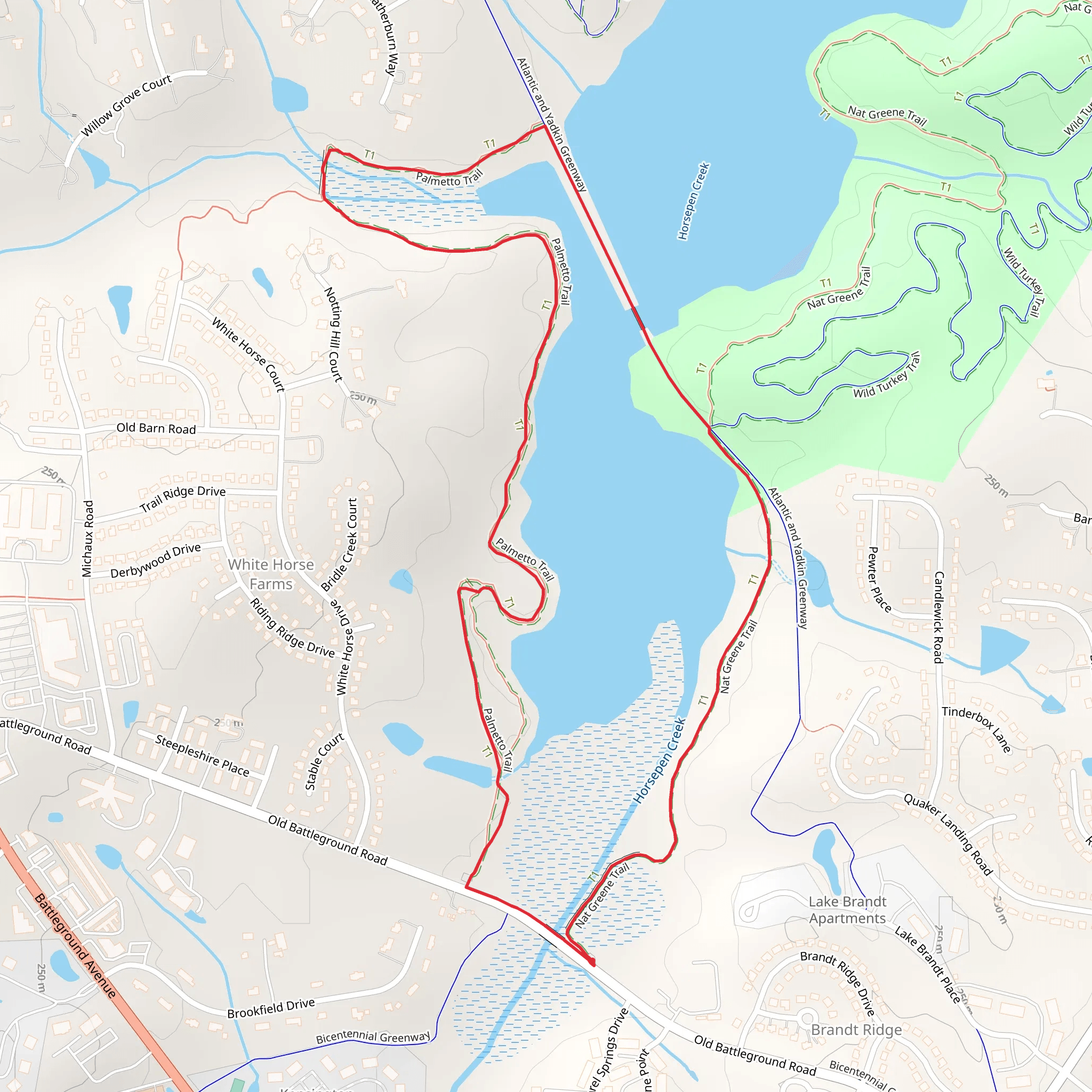 Palmetto Trail and Nat Greene Trail Loop - Lake Brandt mobile static map