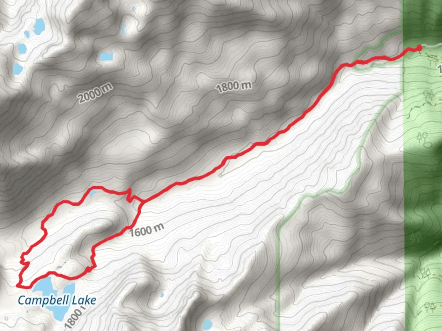 An image depicting the trail Shackleford Creek and Campbell Lake Trail and its surrounding area.