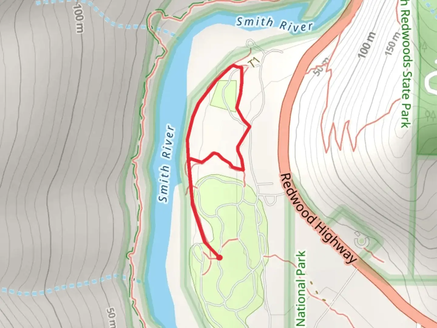 An image depicting the trail Jedediah Smith Redwood State Park Campground and its surrounding area.