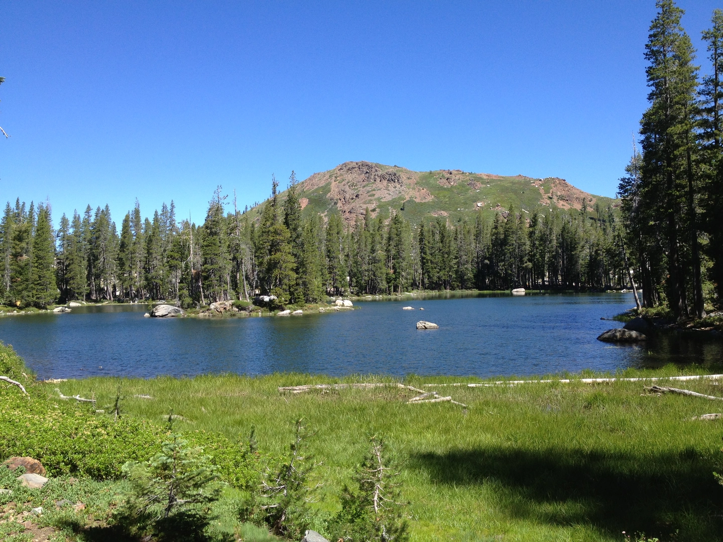 An image depicting the trail Carr Lake, Feeley Lake and Penner Lake and its surrounding area.