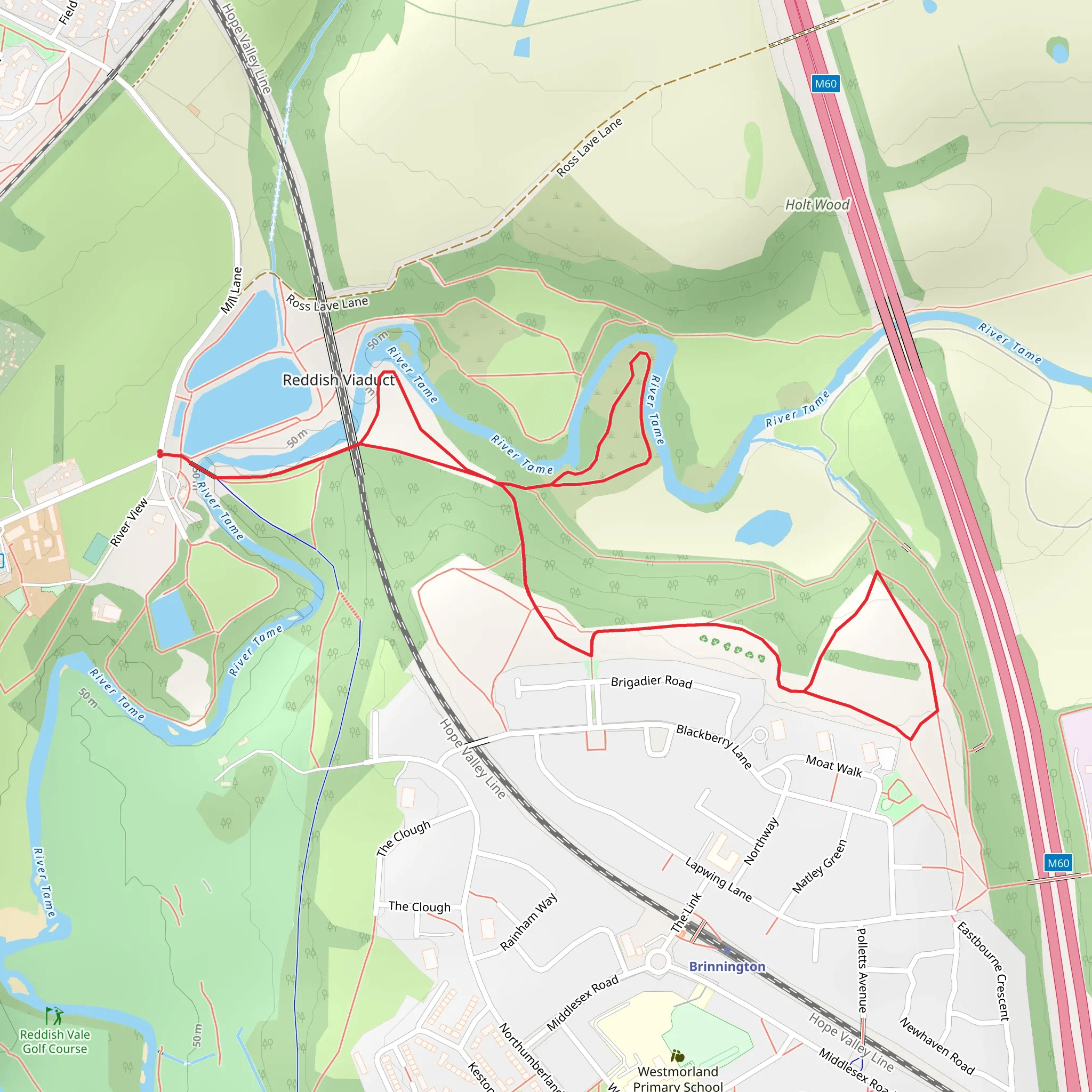 River Tame and Reddish Vale Viaduct mobile static map