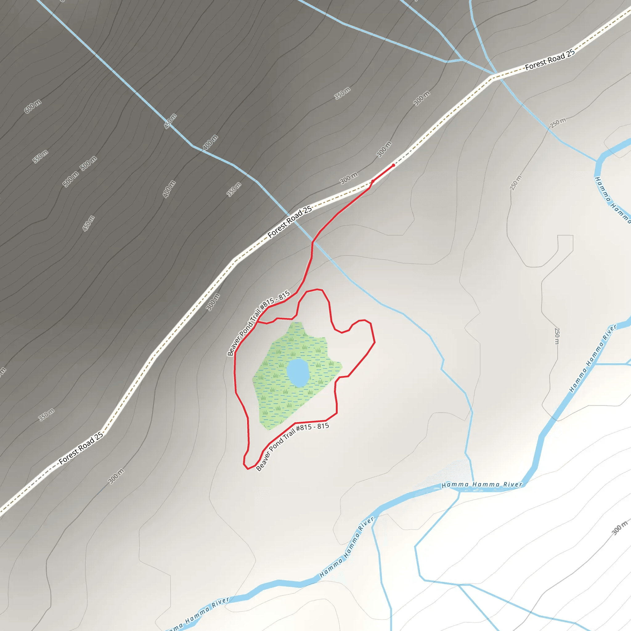 Hamma Hamma Beaver Pond Trail mobile static map