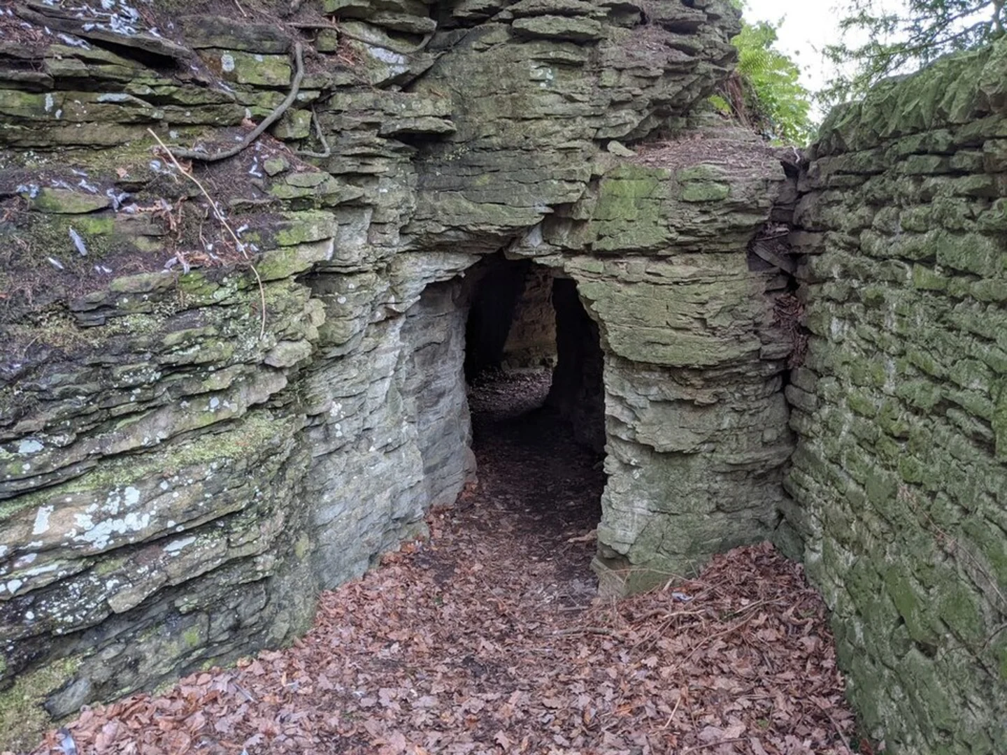 An image depicting the trail Downton Gorge Loop and its surrounding area.