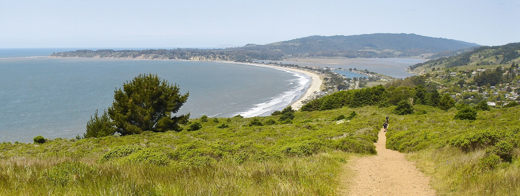 An image depicting the trail Dipsea, Ben Johnson and Stapleveldt Loop Trail and its surrounding area.