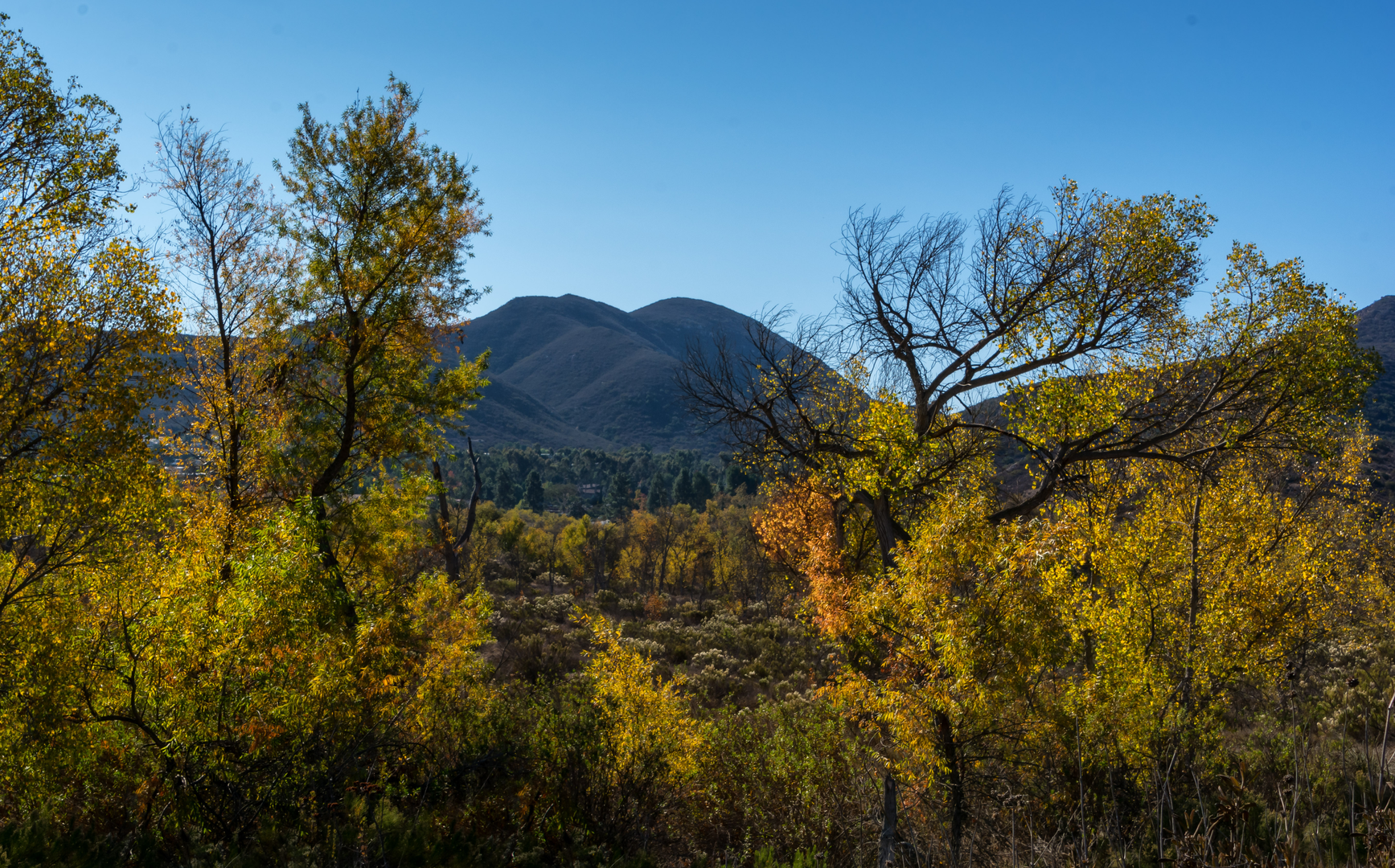An image depicting the trail Pyles Peak and Cowles Mountain via Big Rock Trail and its surrounding area.