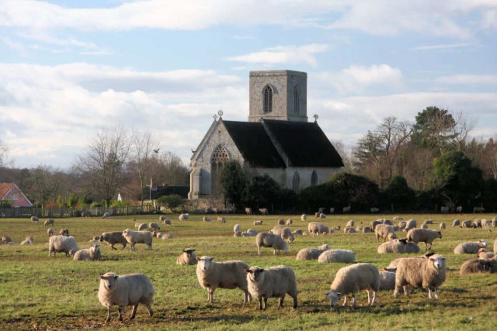 An image depicting the trail Icklingham Loop via The King's Forest and its surrounding area.