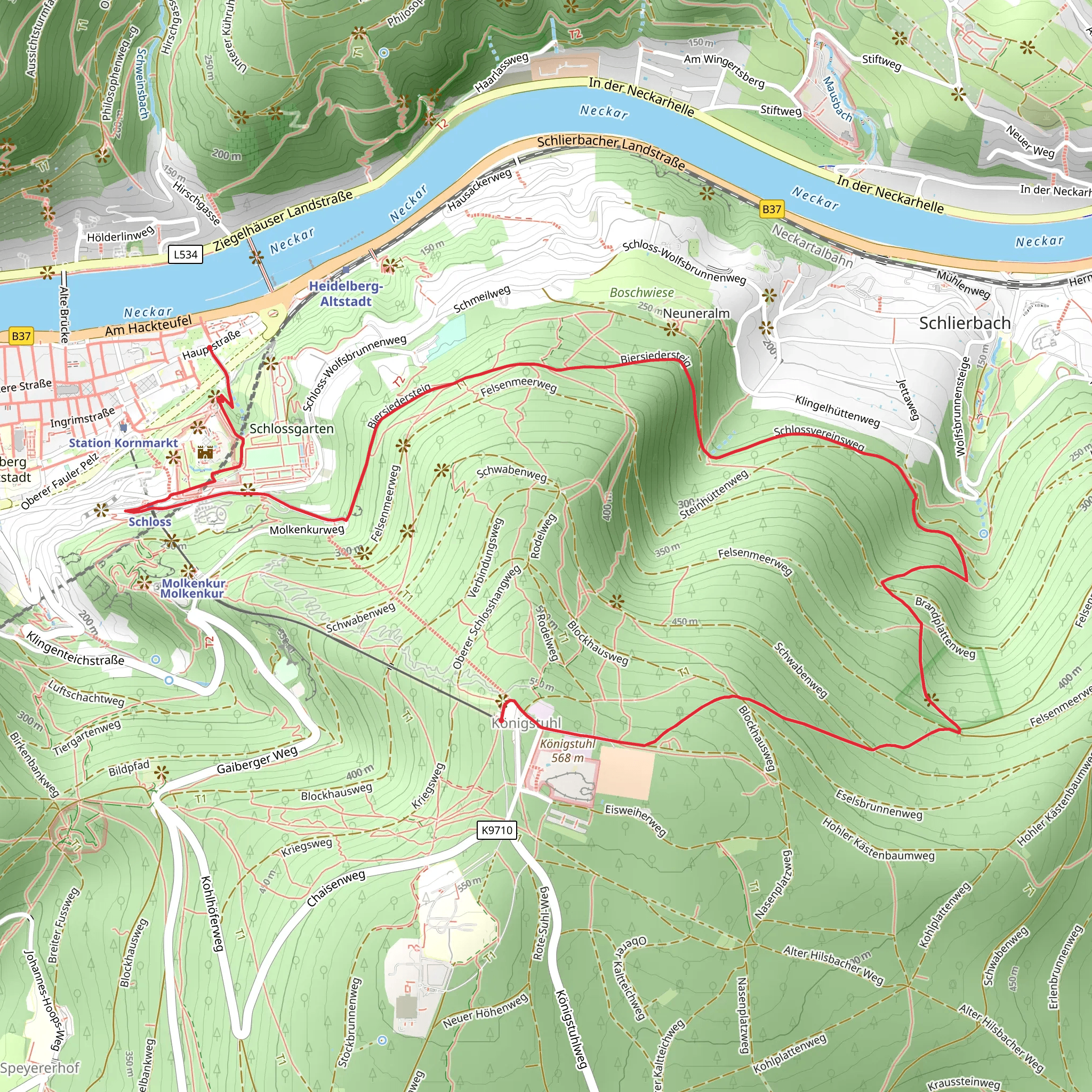 Koenigstuhl to Rathaus via Linker Neckarrandweg mobile static map
