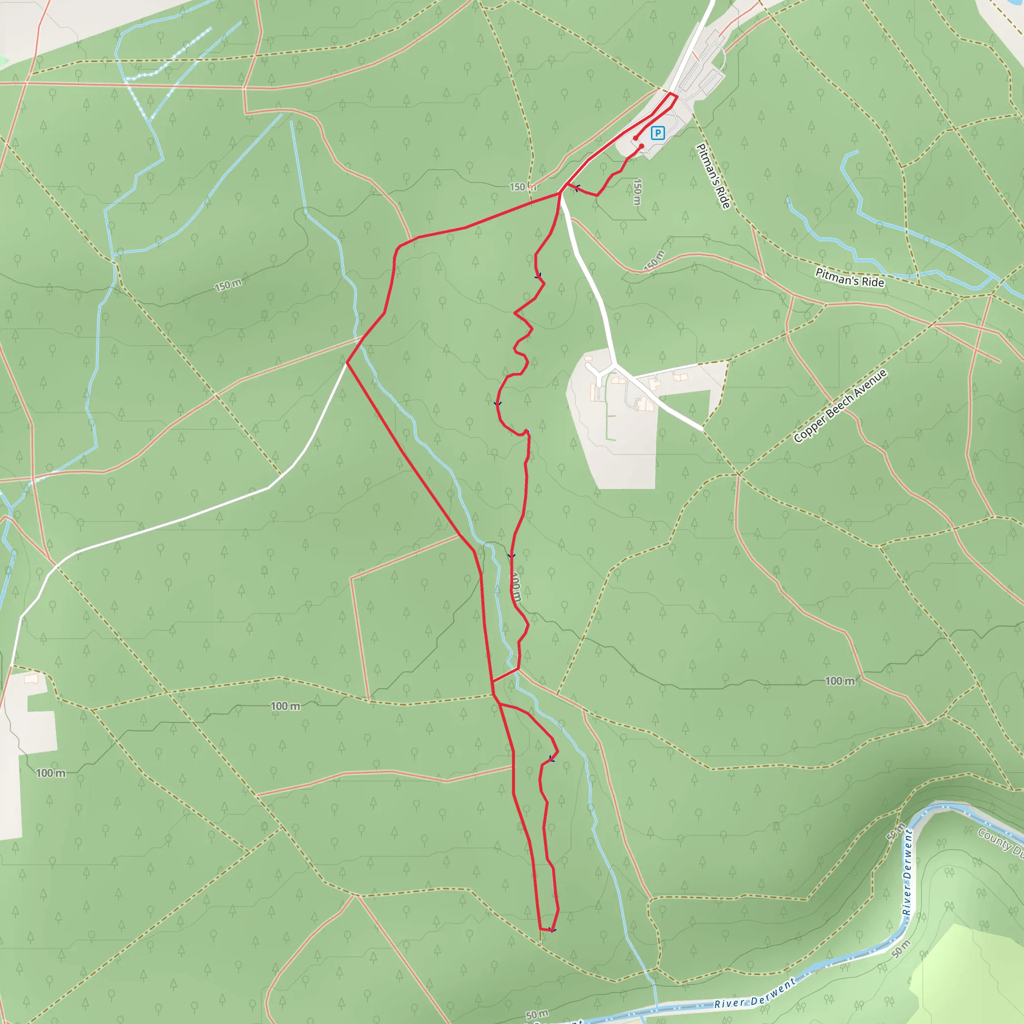 Chopwell Wood Loop mobile static map