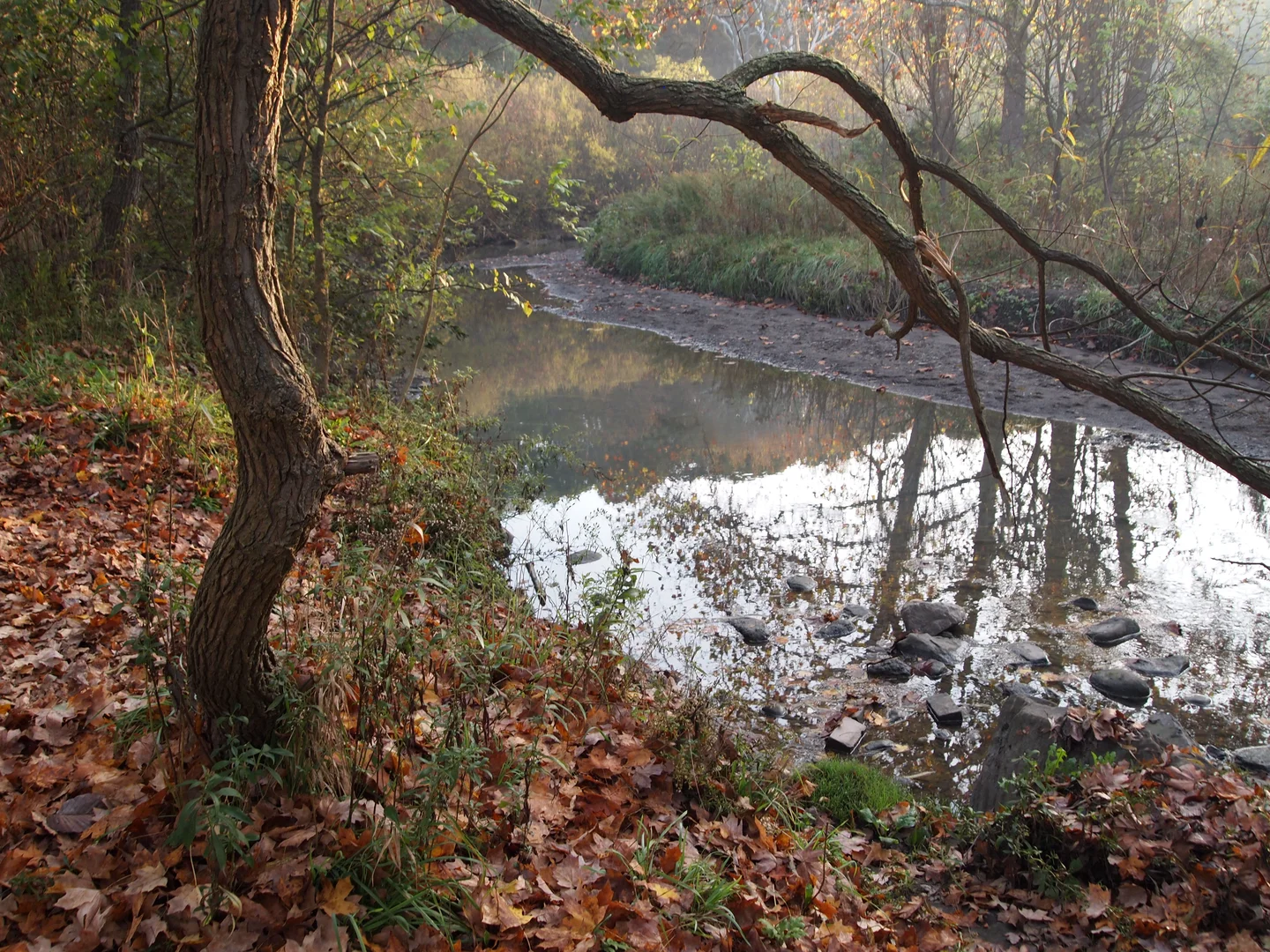 An image depicting the trail Firelane Trail, Braddock Trail and Tranquil Trail Loop and its surrounding area.