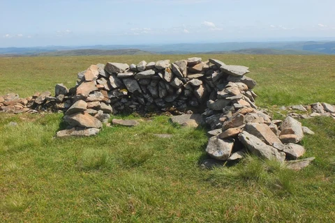 Black Law and Dollar Law Loop