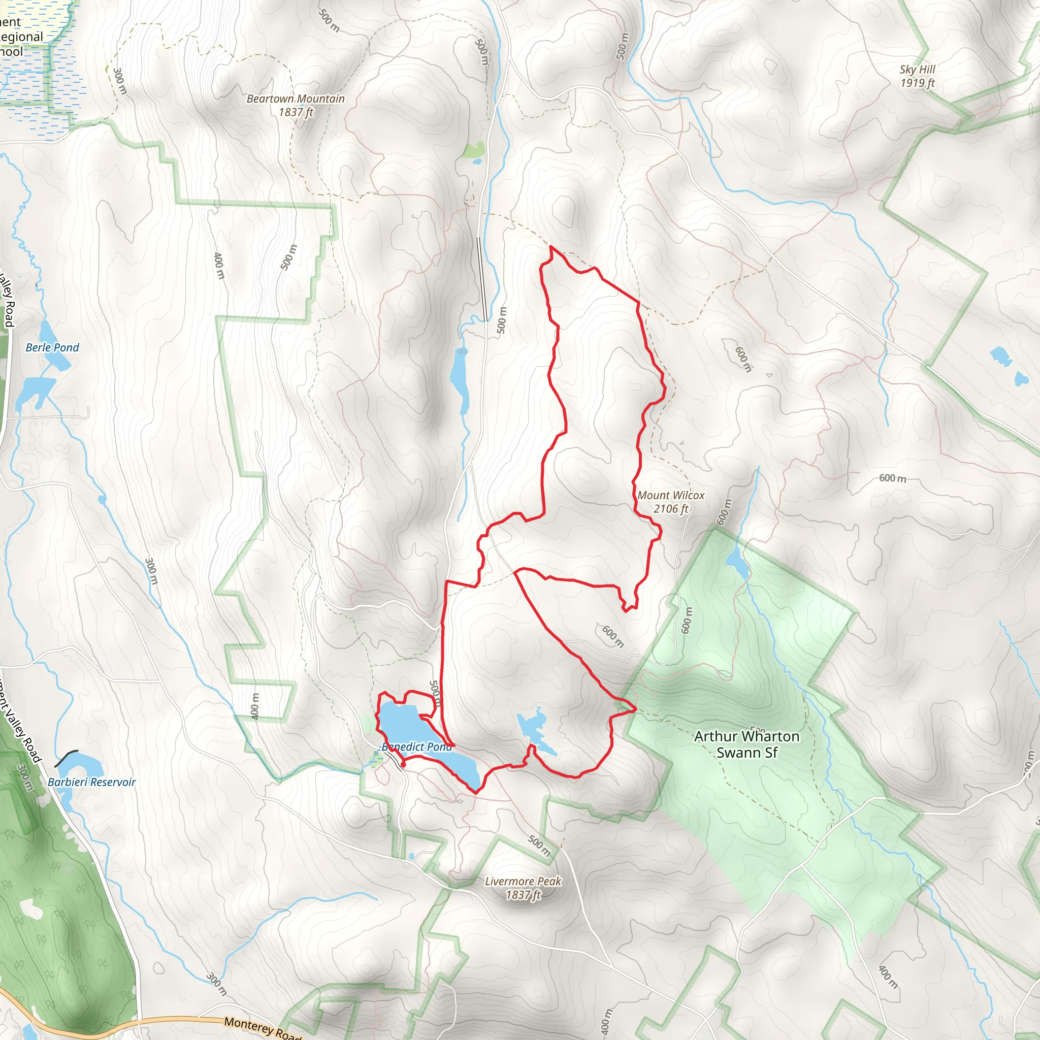 Benedict Pond and Mount Wilcox Trail Loop mobile static map