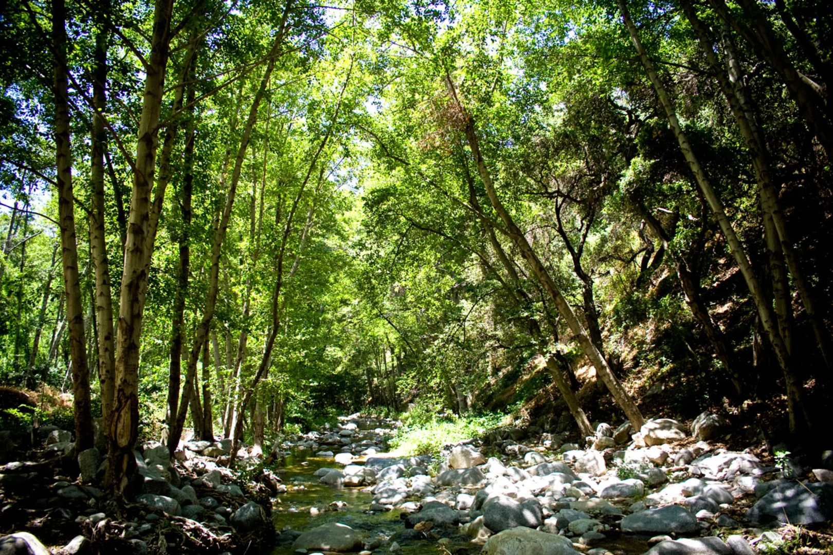 An image depicting the trail Gabrielino Trail - Ventura Street and its surrounding area.
