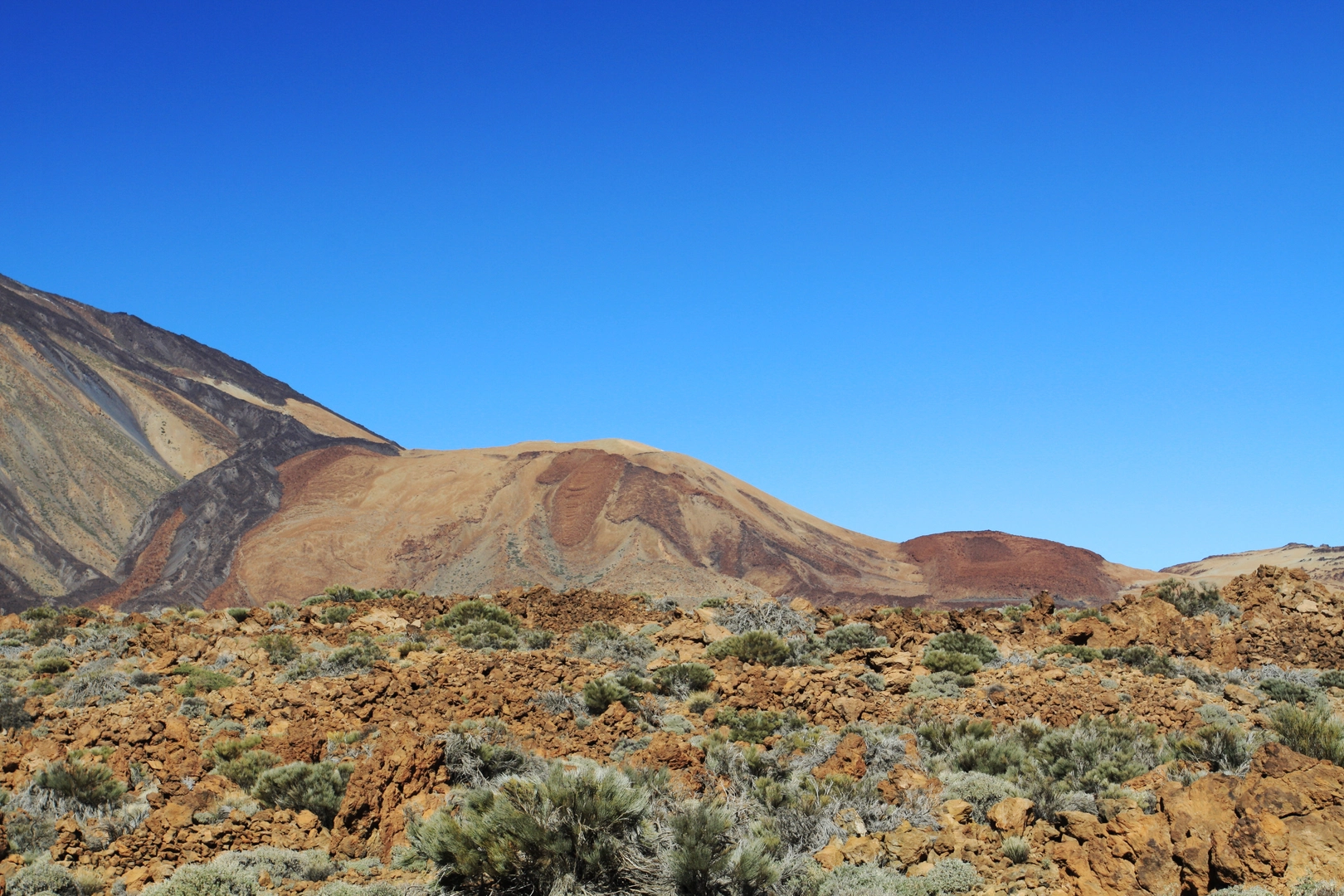 An image depicting the trail Montaña Blanca Loop and its surrounding area.