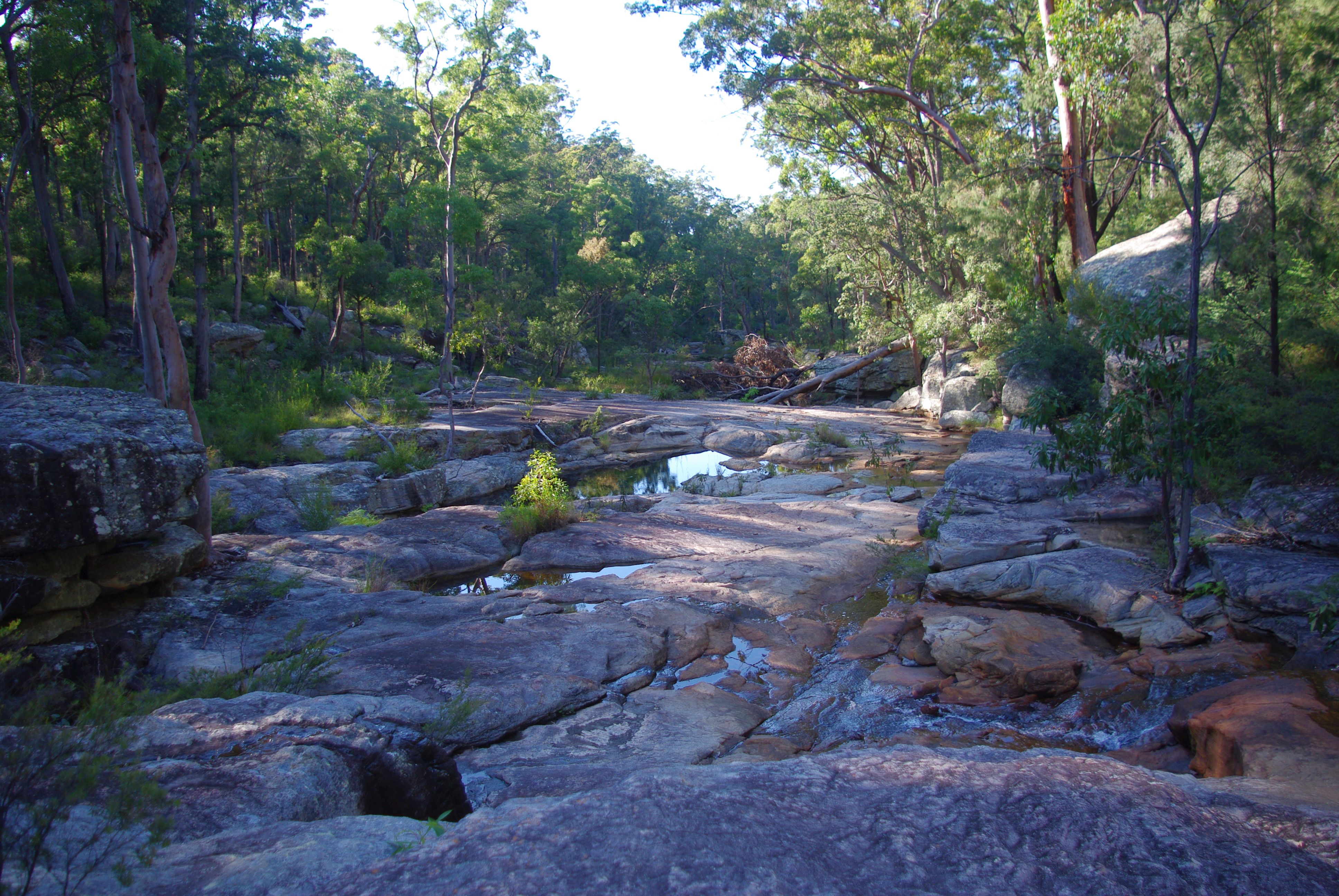 An image depicting the trail Blackdown Tableland National Park and its surrounding area.