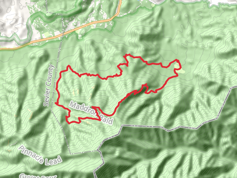 Gabes Mountain Trail, Maddron Bald Trail and Snake Den Mountain Loop