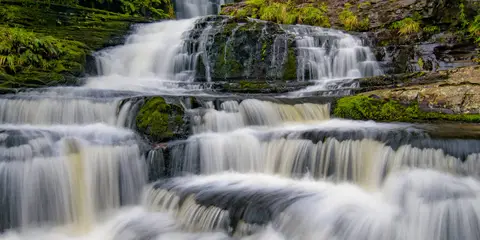 An image depicting the trail McLean Falls Walk and its surrounding area.