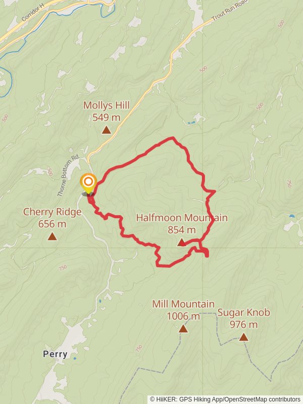 Halfmoon Mountain - Bucktail Loop Trail