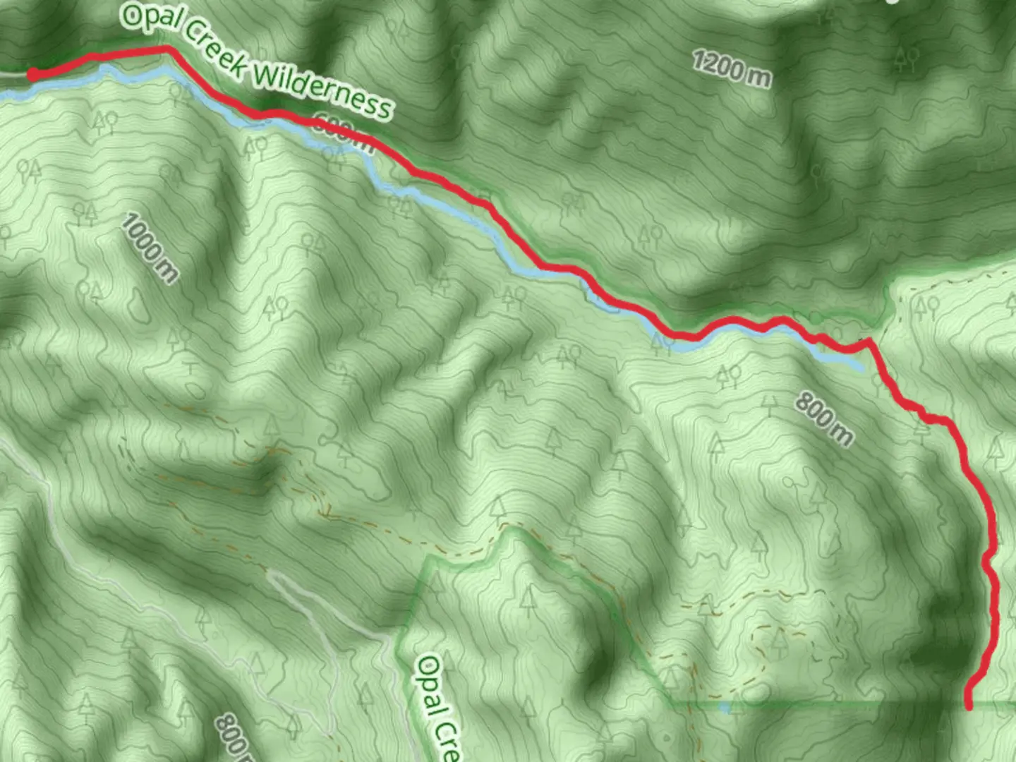 An image depicting the trail Opal Creek Trail and its surrounding area.