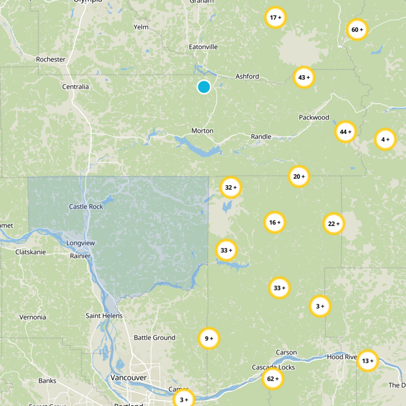 Cowlitz County Static Map