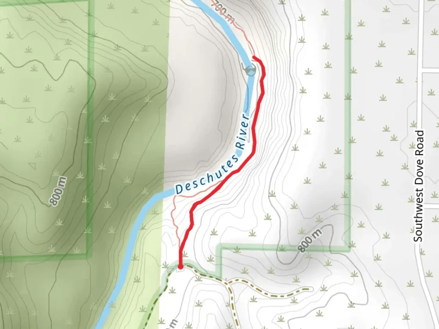 An image depicting the trail Steelhead Falls Trail and its surrounding area.