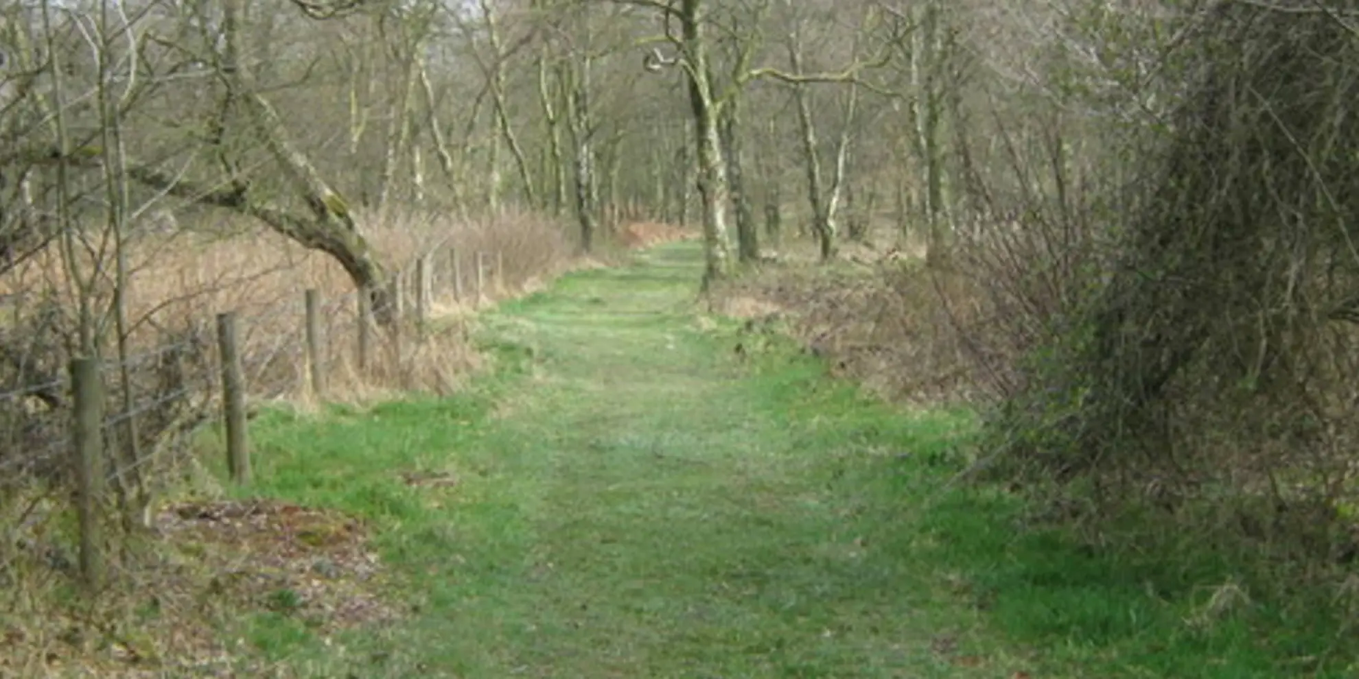 An image depicting the trail Churnet Valley from Consall Nature Park and its surrounding area.