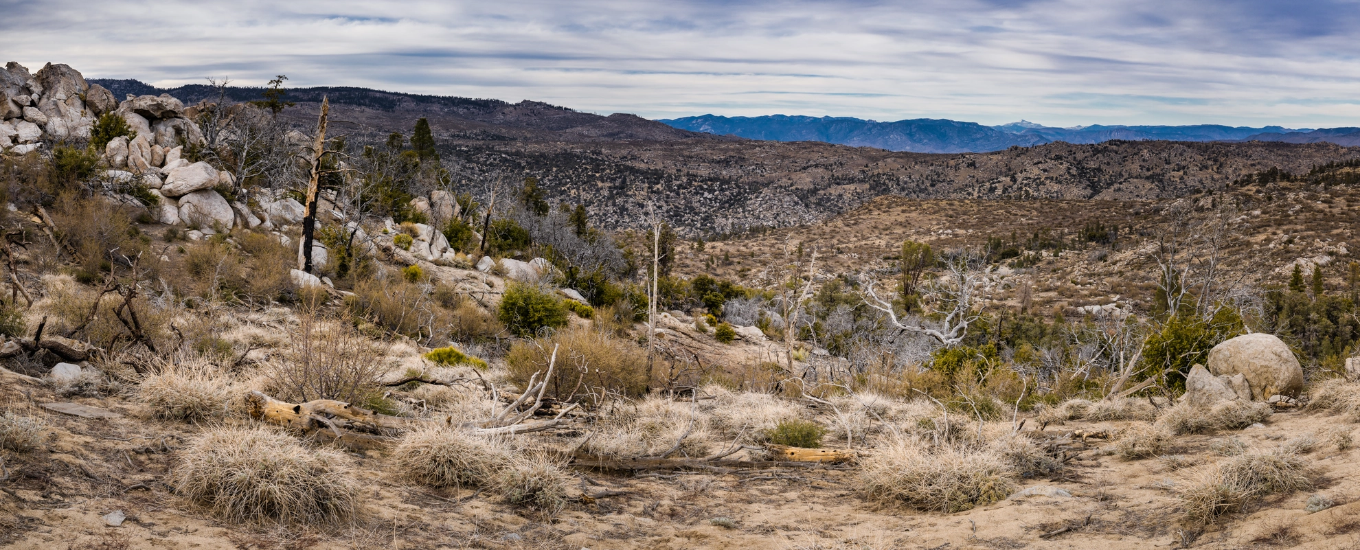 An image depicting the trail Piute Mountain Road Trail and its surrounding area.