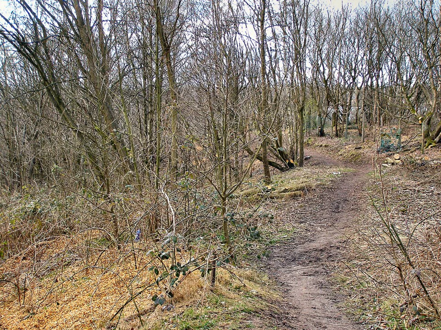 An image depicting the trail Drink Water Park, River Irwell and Preswich Clough Loop and its surrounding area.