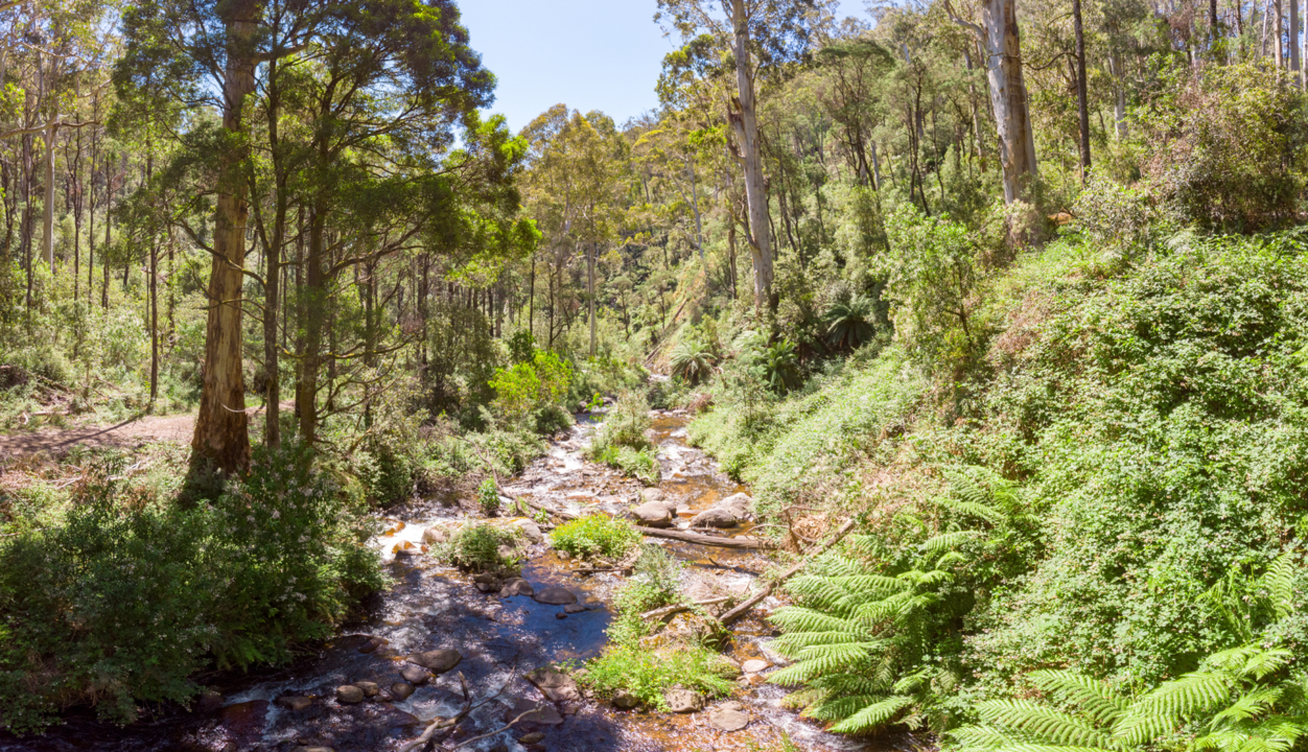 An image depicting the trail Klingsporn Bridle Track and its surrounding area.