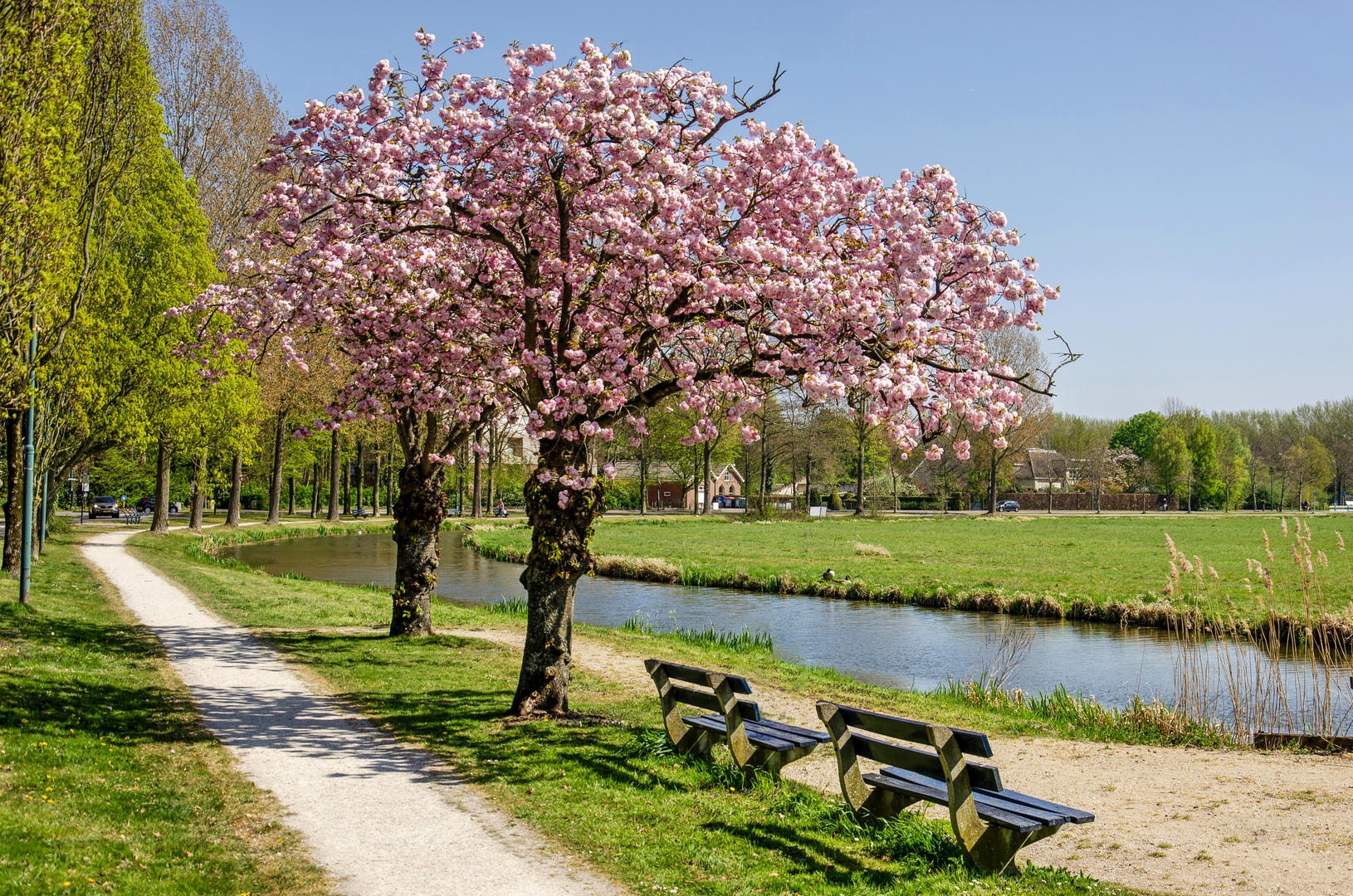 An image depicting the trail Het Lint - De Meern and het Zand Loop and its surrounding area.
