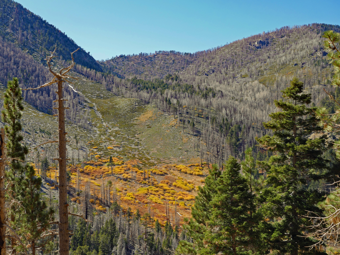An image depicting the trail Dry Lake via Lost Creek Trail and its surrounding area.