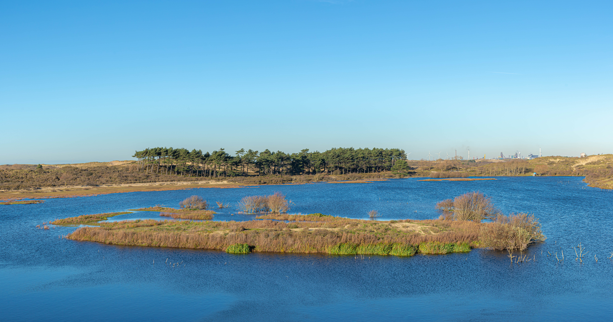 An image depicting the trail Zee Weg, Dronken Delweg, Ezelweg and Duinpieper pad Loop and its surrounding area.