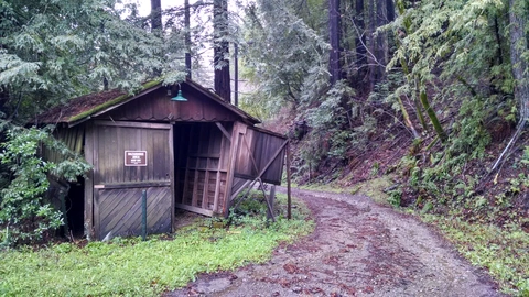 An image depicting the trail Alma and Redwood Springs Loop Trail and its surrounding area.