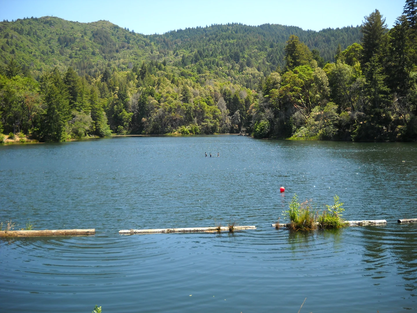 An image depicting the trail Lake Lagunitas and Bon Tempe Loop and its surrounding area.