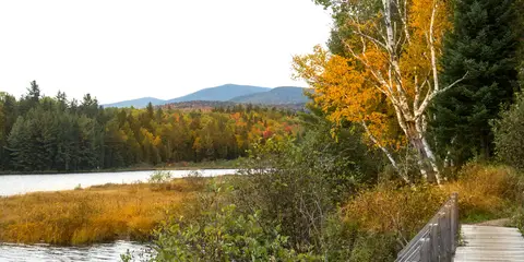 An image depicting the trail Maine Hut Trail and its surrounding area.
