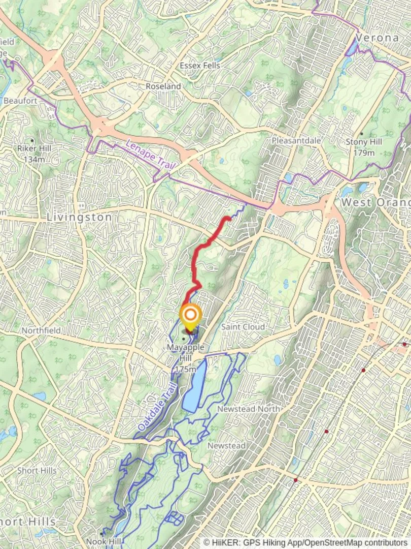 An image depicting the trail Lenape Trail - Mayapple Hill and its surrounding area.