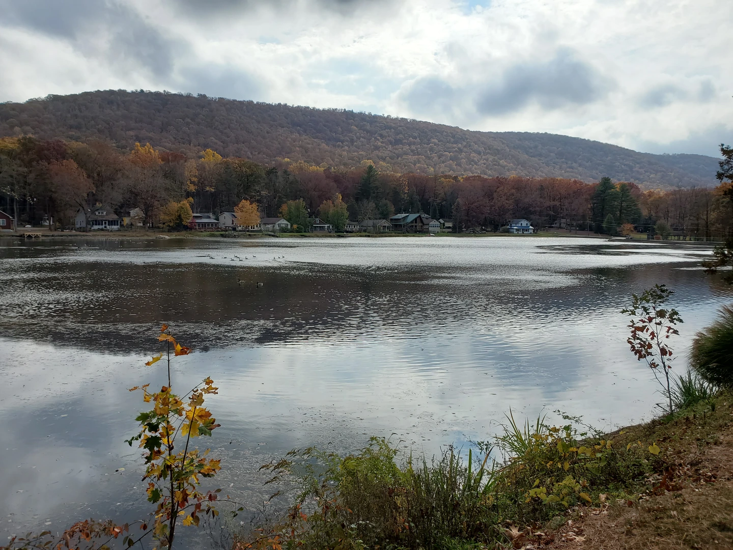 An image depicting the trail Moon Lake Loop and its surrounding area.