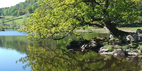 An image depicting the trail Loop from Queen's Hotel in Cumbria and its surrounding area.