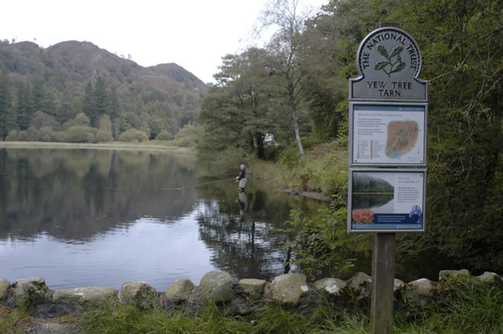 An image depicting the trail Hawkshead, Tarn Hows and Yew Tree Tarn Loop and its surrounding area.