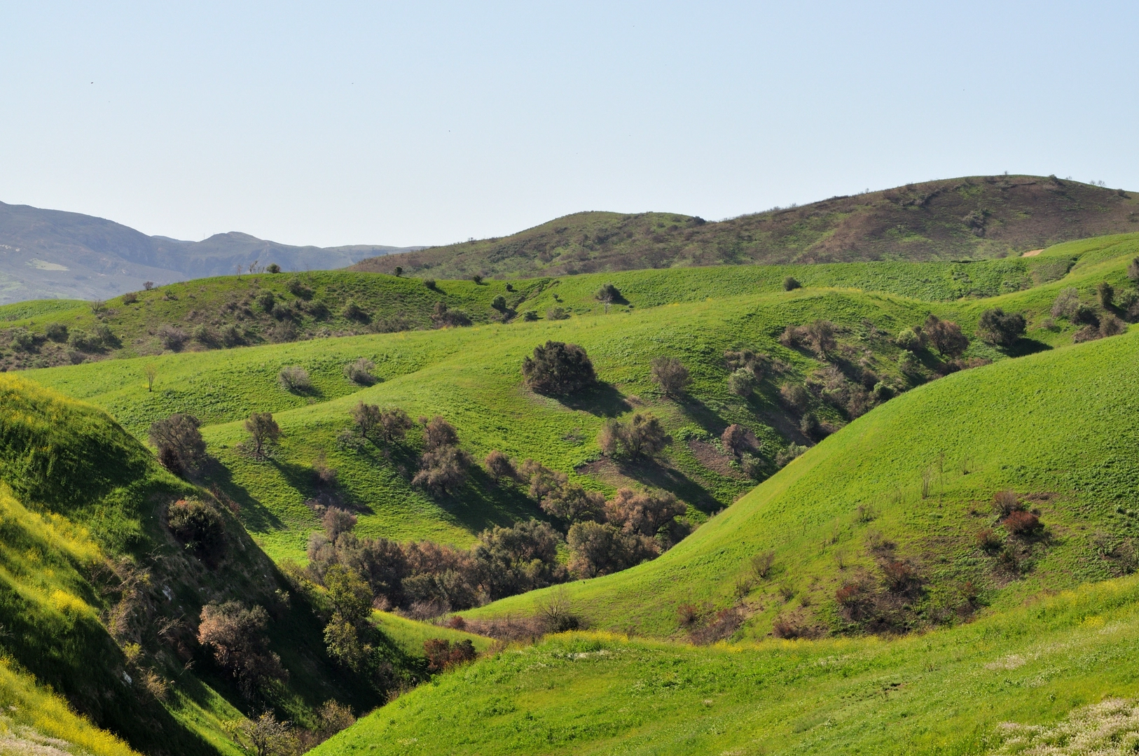 An image depicting the trail South Ridge and Telegraph Canyon Loop Trail and its surrounding area.