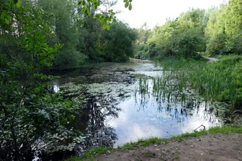 Blue Route and Salford Trail