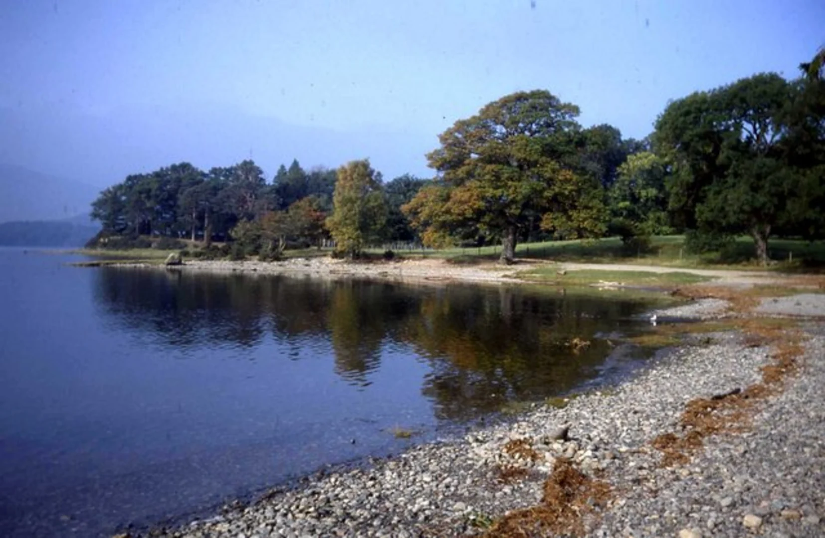 An image depicting the trail Ruskin Monument, Surprise View Point and Cockshot Wood Loop and its surrounding area.