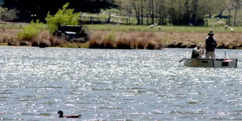 An image depicting the trail Diamond Creek Track and its surrounding area.