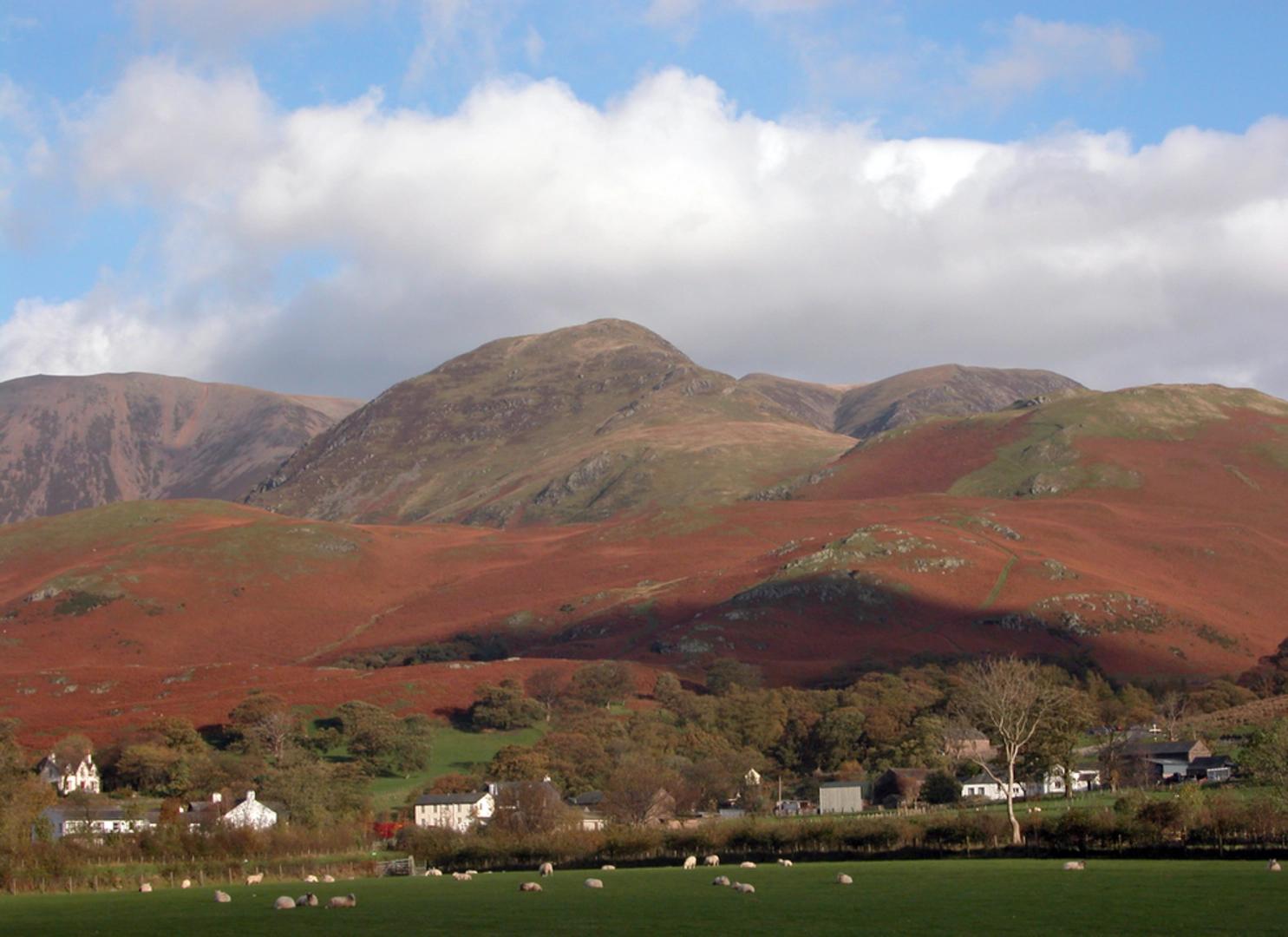 An image depicting the trail Whiteless Pike and its surrounding area.